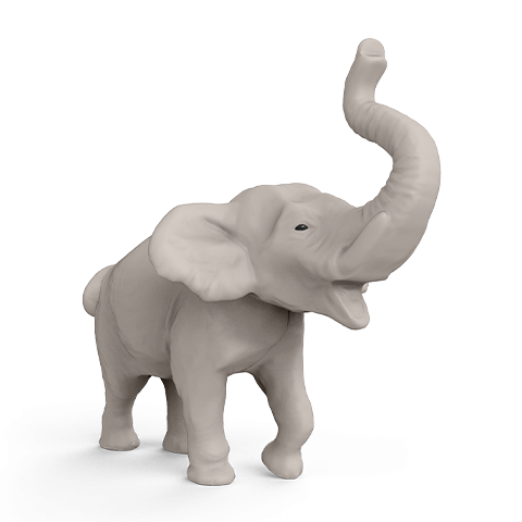 indian_elephant.png?t=1708666265