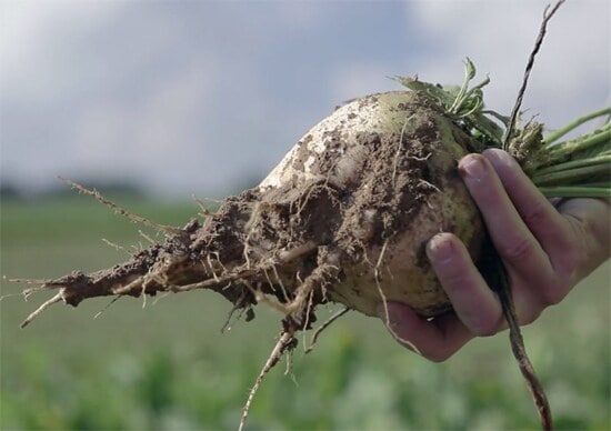 Sugar part 1 final Sugar-part-1-final