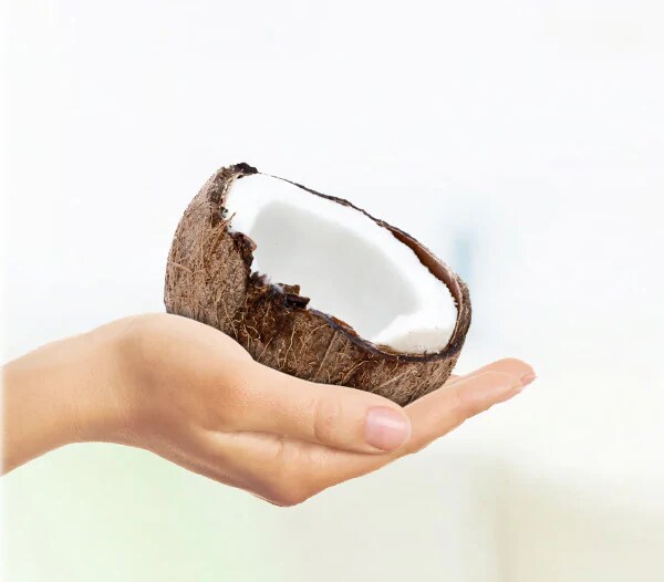 new-header-coconut_edit