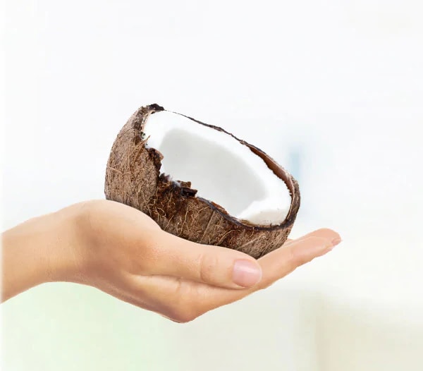new header coconut edit new-header-coconut_edit