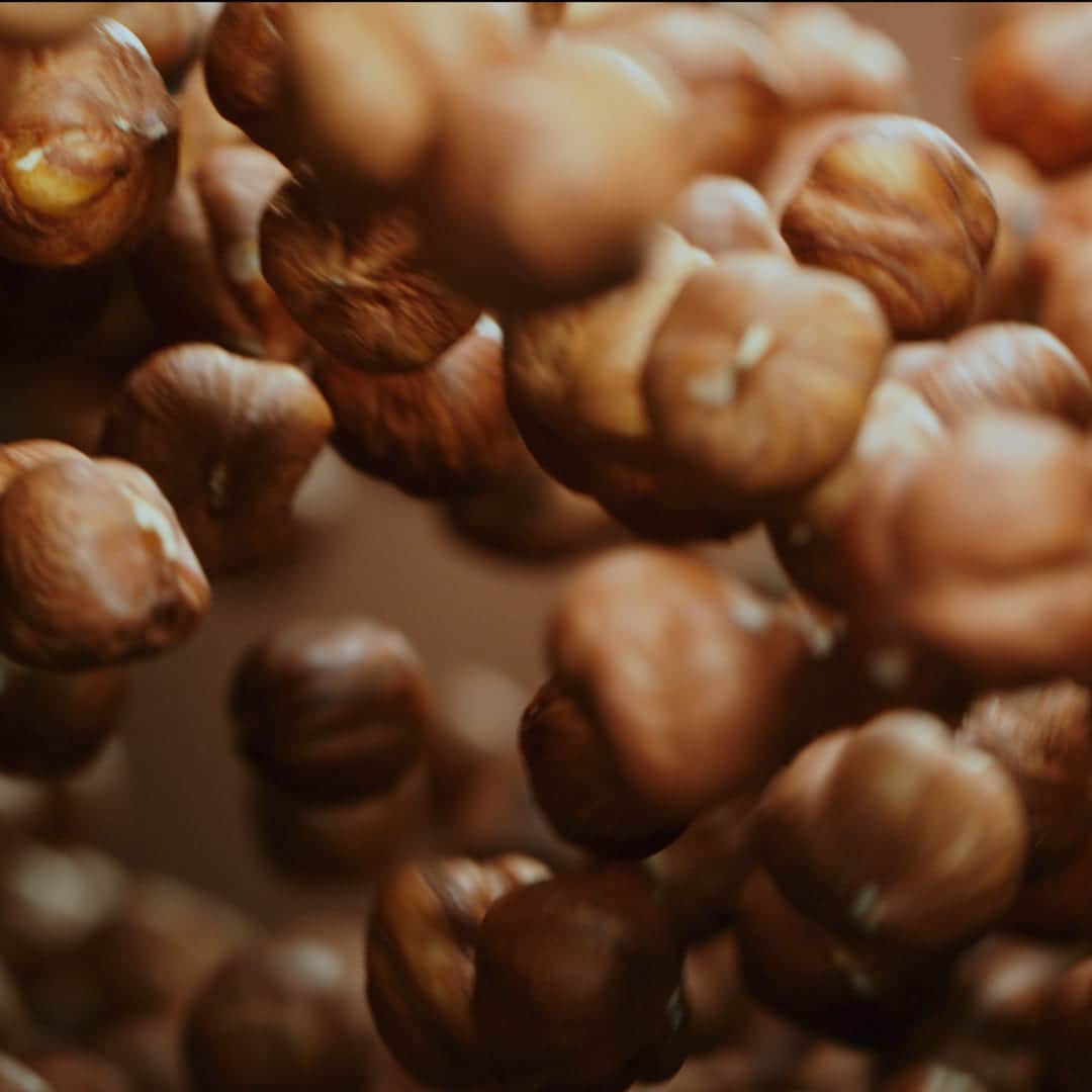 hazelnuts