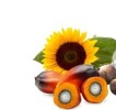 Fats oils 2 1