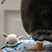 Kinder Pinguì Fiocco gif-thumbs