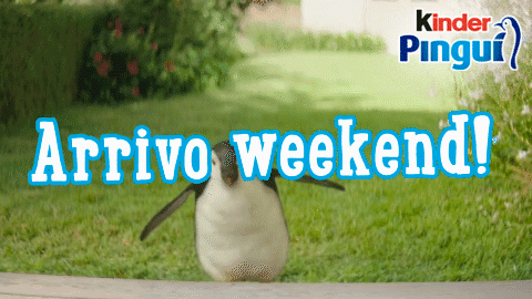 Kinder Pinguì Fiocco GIF6