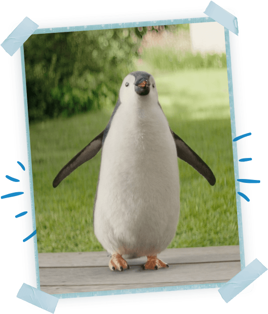 Kinder Pinguì Fiocco Kinder Pinguì Fiocco