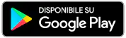 badge_google_IT