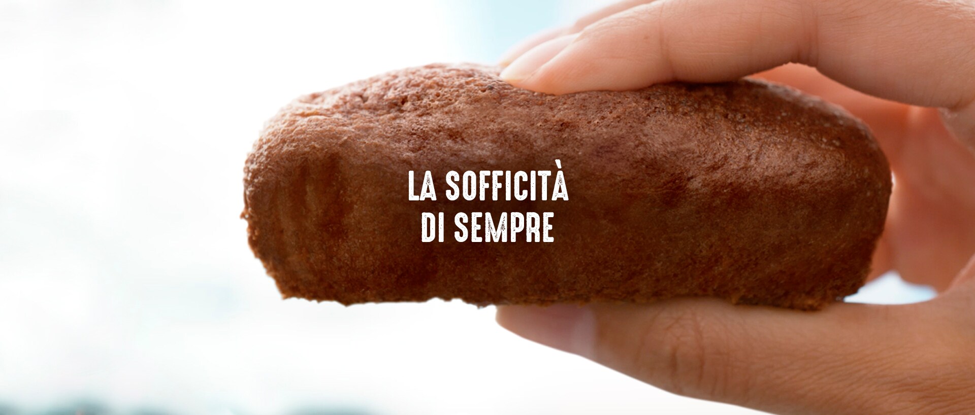 Slide 3 Plumcake Cacao