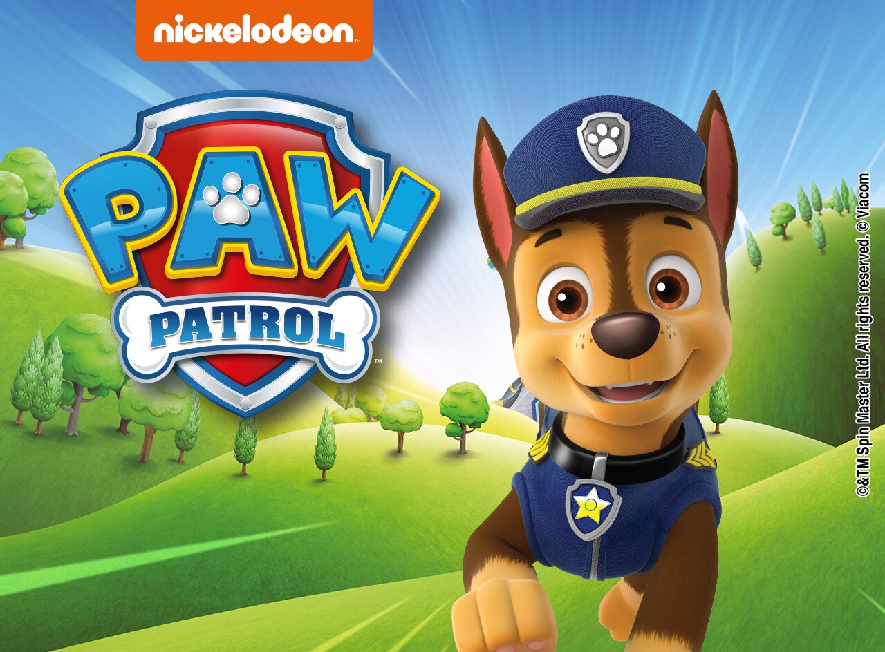 Paw patrol box collezione ks Paw patrol box collezione ks