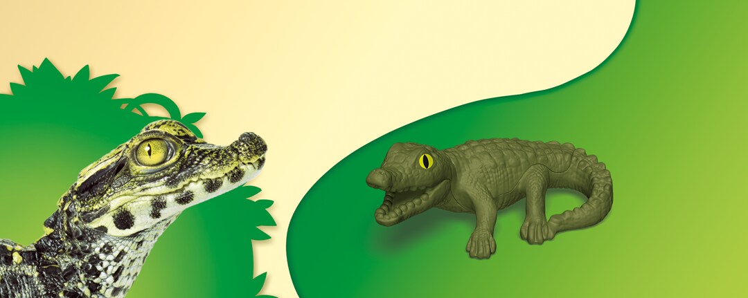 coccoddrillo-sfondo coccoddrillo-sfondo