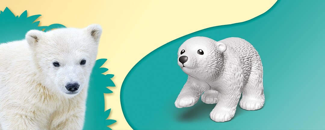orso-polare orso-polare