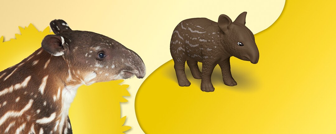 tapiro-sfondo tapiro-sfondo