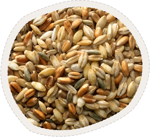 MIX UNICO DI 5 CEREALI