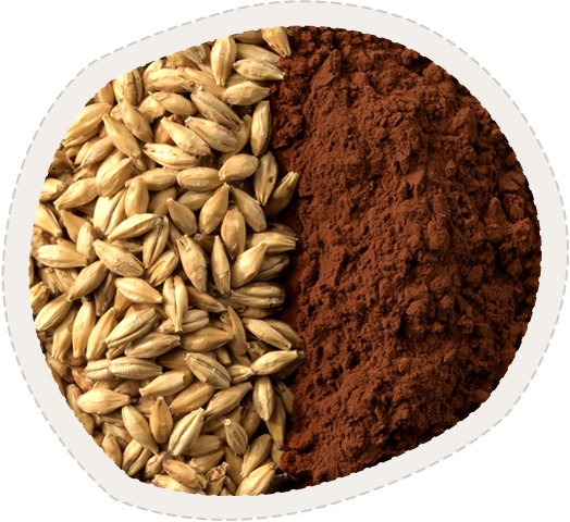 MALTO D'ORZO E CACAO