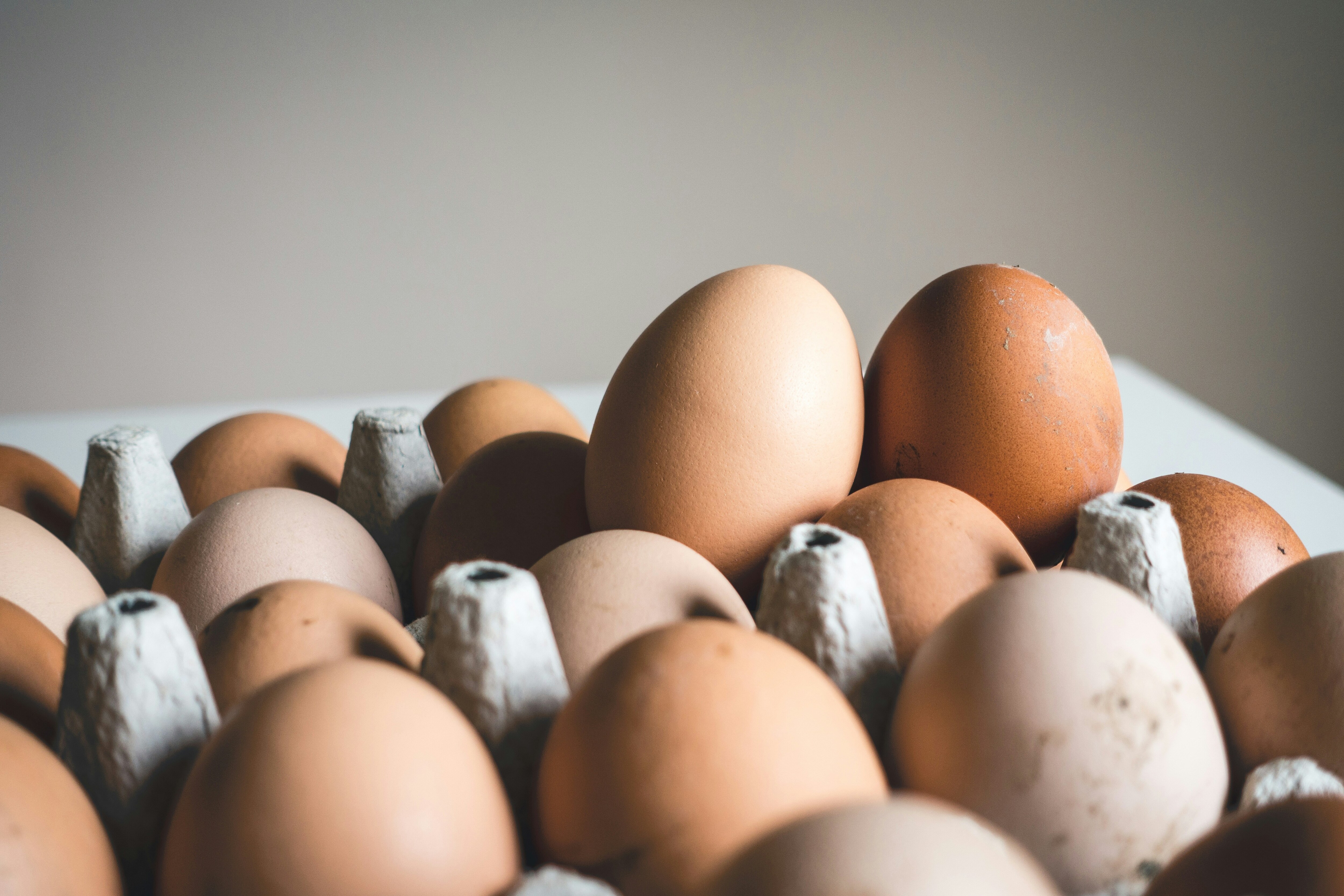 6-eggs.jpg