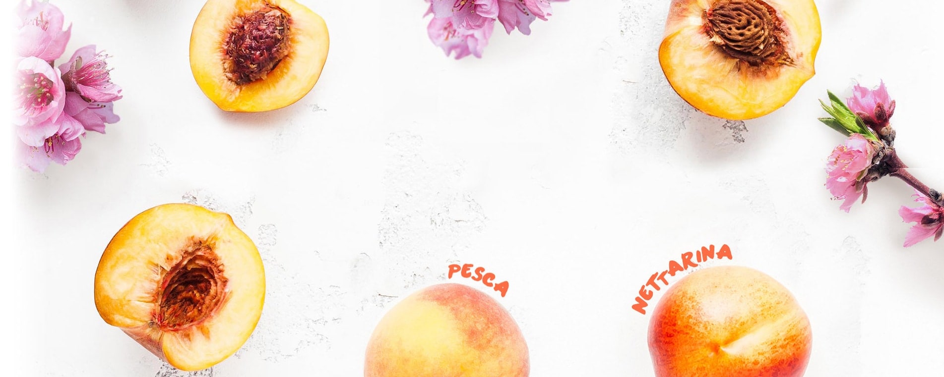 header pesca nettarina desktop header pesca nettarina desktop