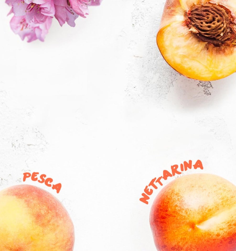 header pesca nettarina mobile