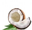 Coconut Coconut