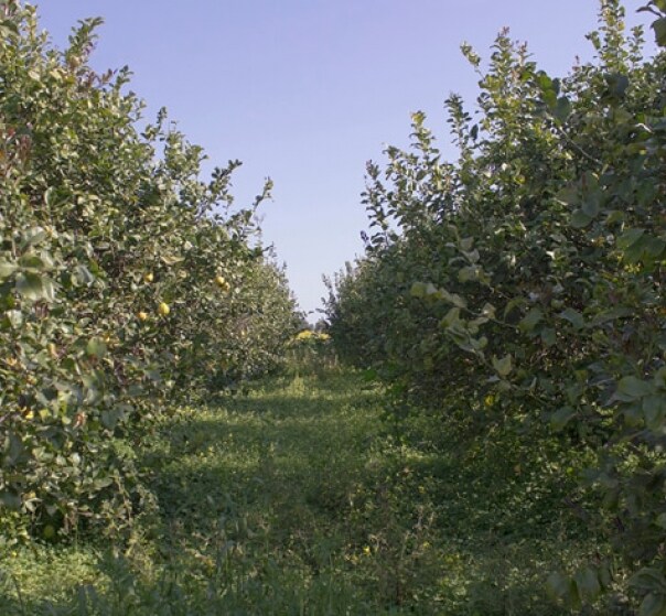 gallery sicilia 5 6