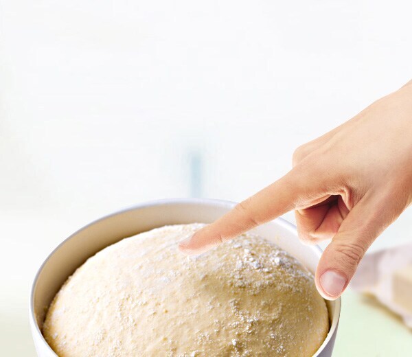 Baker's yeast header