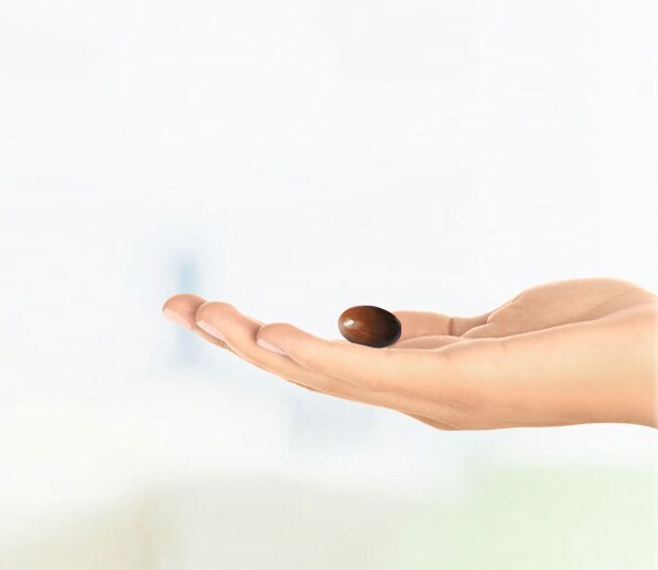 Glazing agents header