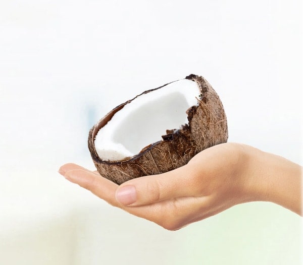 coconut