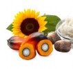 Fats and oils