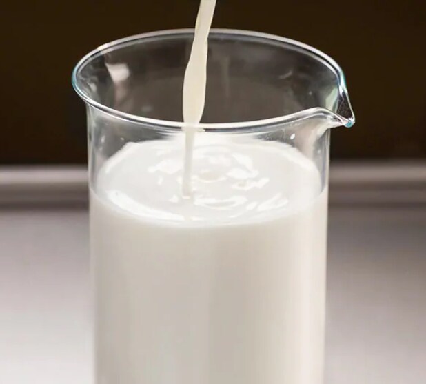 Header Milk