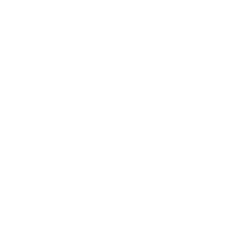 Kinder Icon Research Programmes