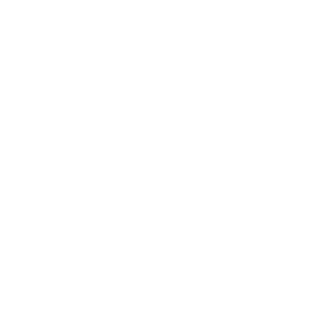 Kinder Icon Sports Practiced