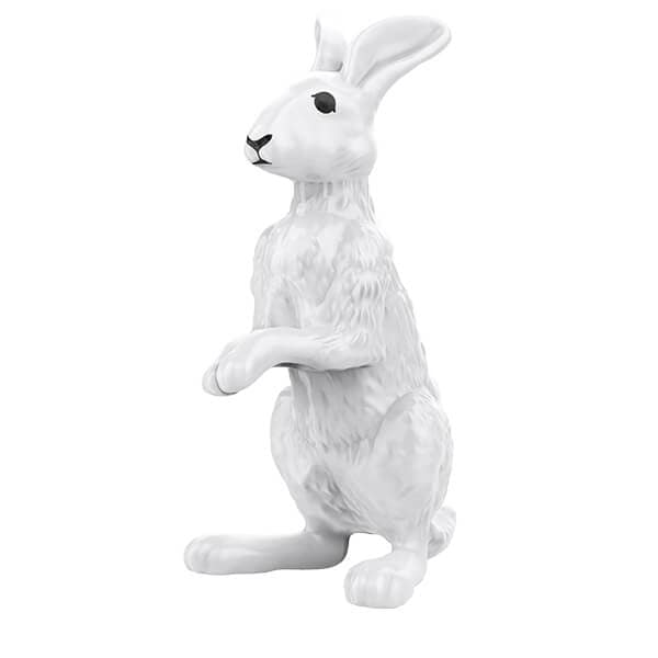 sorpresasfr_natoons_beloved_animals_2223_hare_vd287.jpg