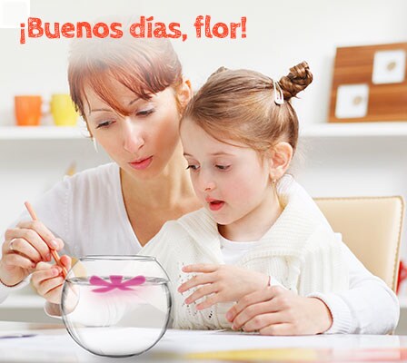 de_boton_a_flor