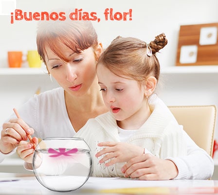 de_boton_a_flor