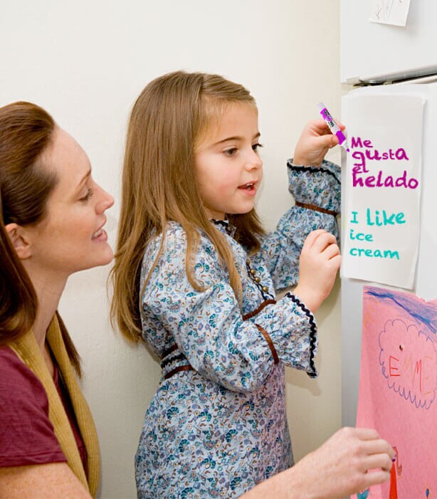 ilustración home