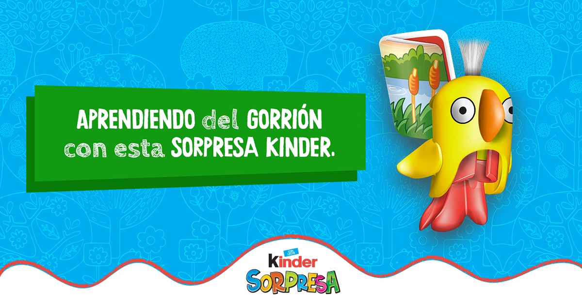 aprendiendo_del_gorrion.jpg