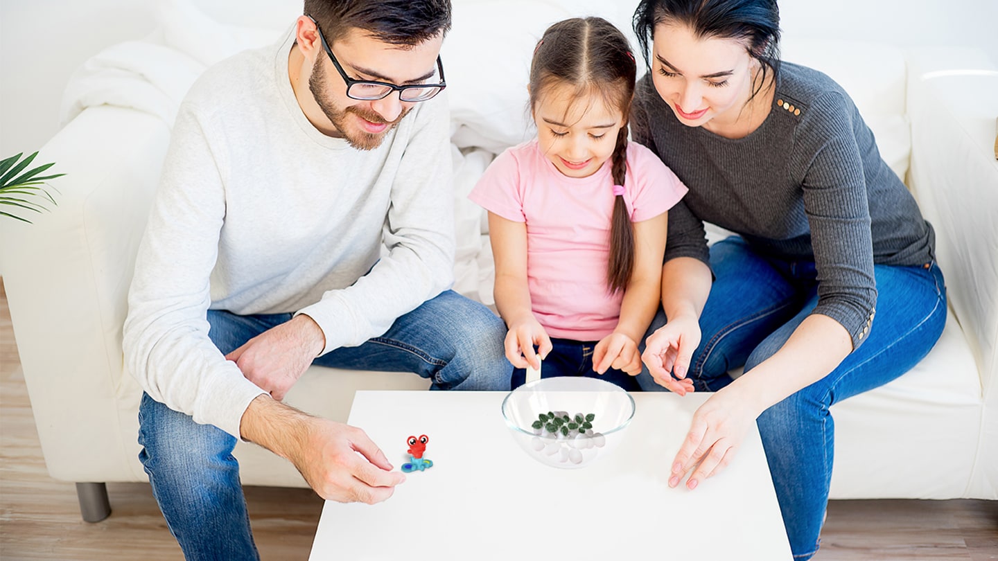 en_donde_viven_los_anfibios_