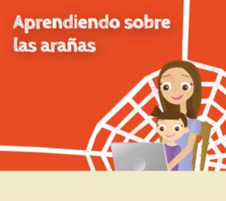 hagamos_telaranas_como_las_aranas.jpg