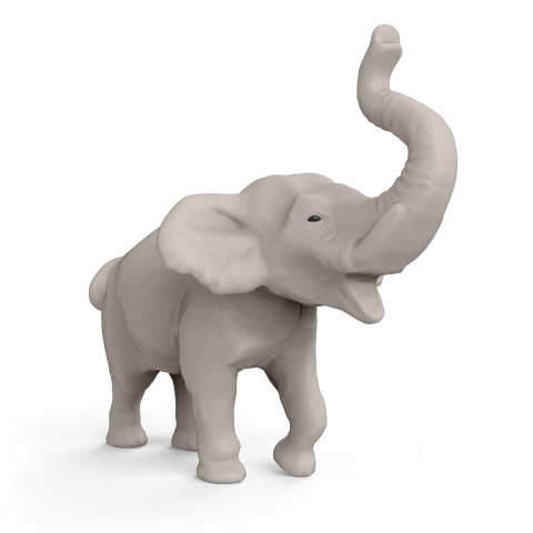 vt385_indian_elephant.png