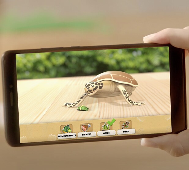 feeding_sea_turtle