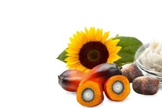 Fats oils 2