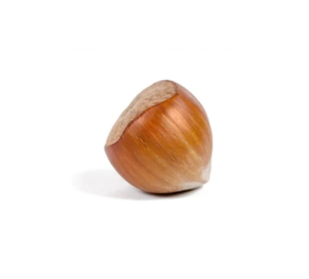 hazelnuts_BE_hover