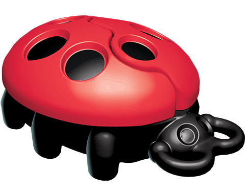 lady-bug-inside.png