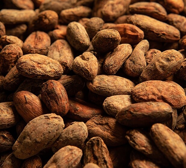 618x557 cocoa 1
