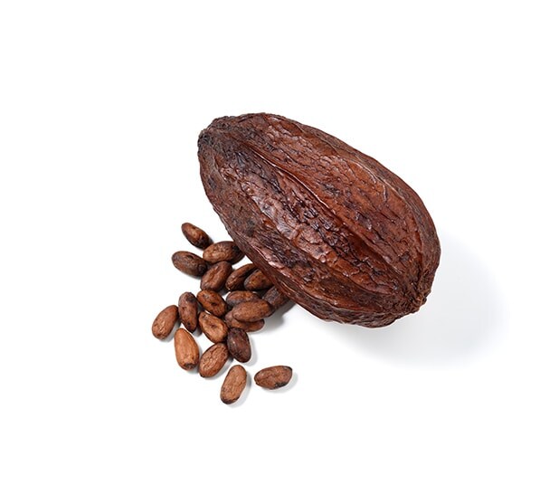 Hub Cocoa hoover