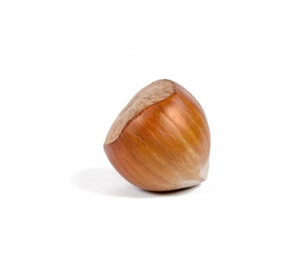 Hub Hazelnuts hoover