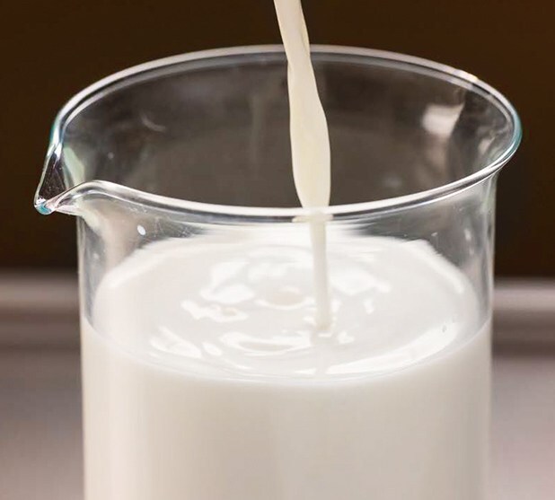Hub Milk main