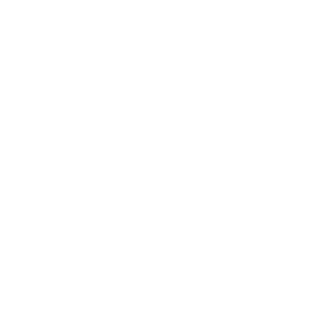 Icon Different Countries