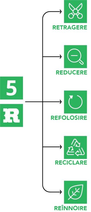 5RS_mobile