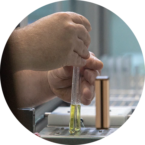 PALMA_OIL