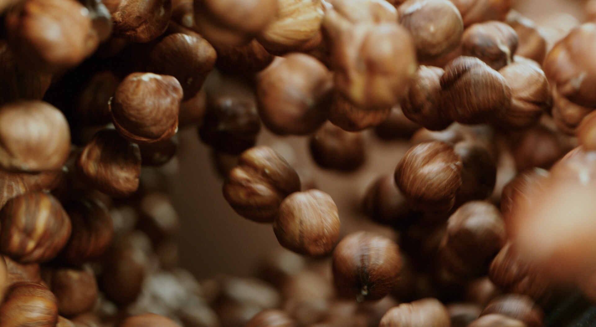 nuts_main