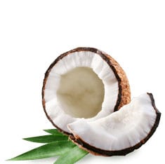 Coconut